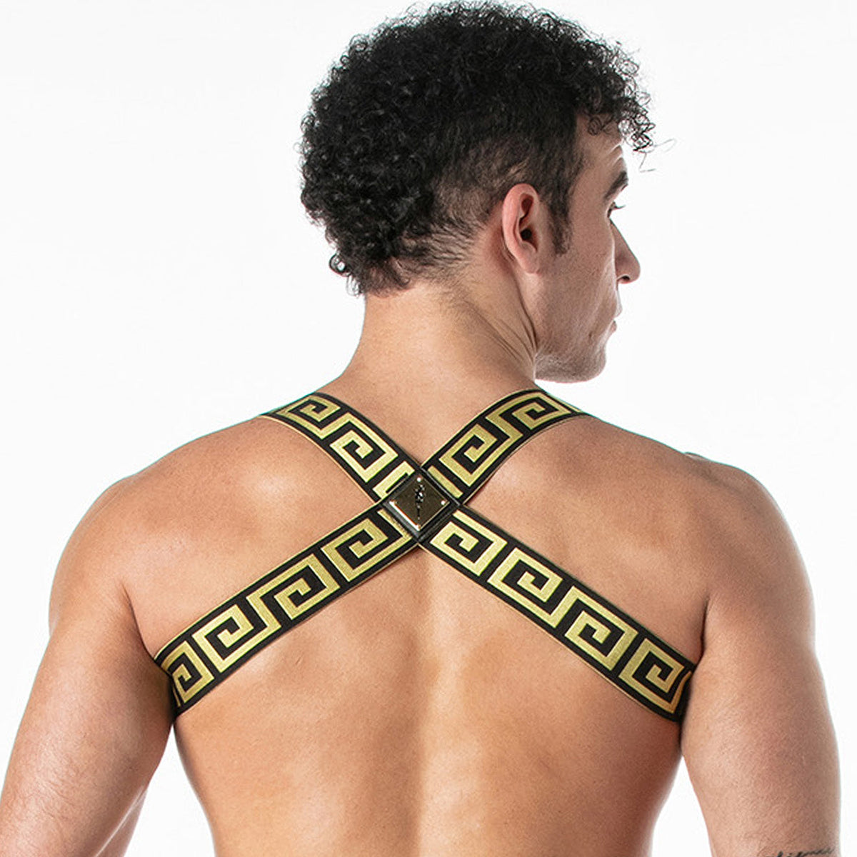 Invictus-Gurtzeug Schwarz-Gold-1