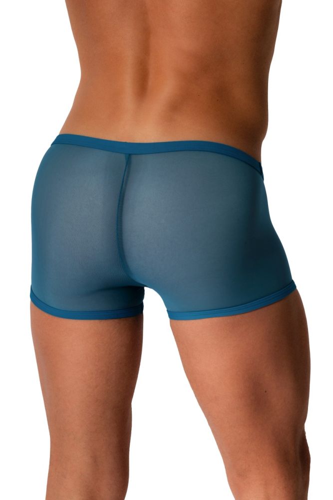 Micro Pants M2572 transparent aus Tüll - MANSTORE - Shop Deutschland Noodosz