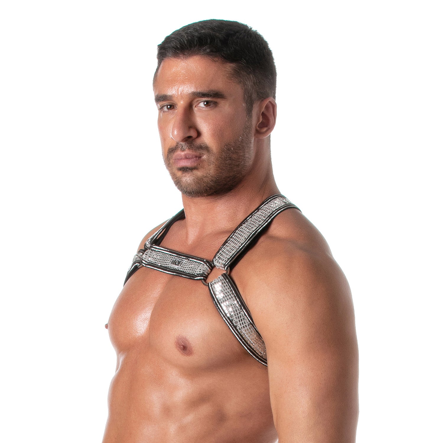 Glitter Bulldog Harness - Silver