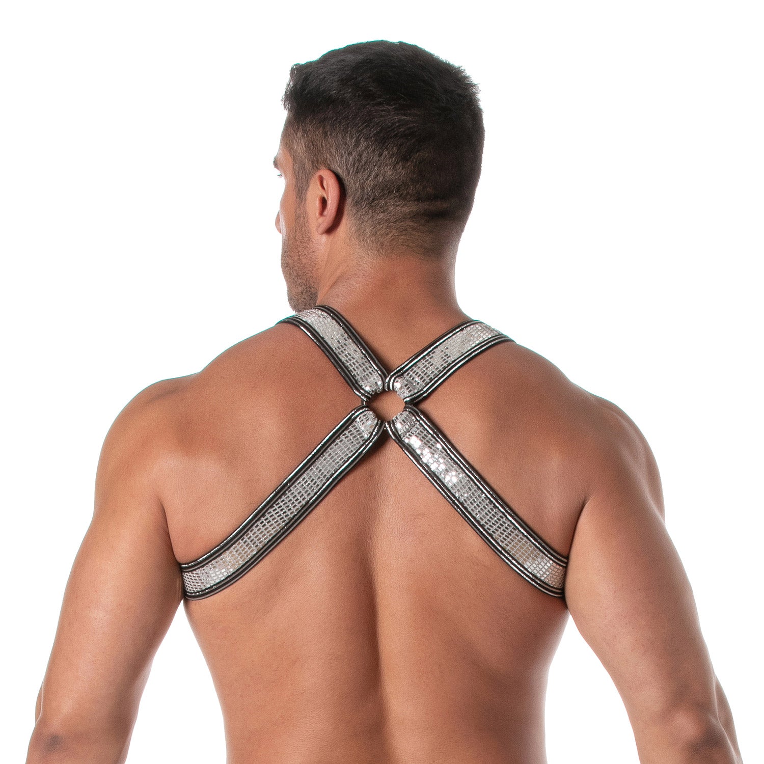 Glitter Bulldog Harness - Silver