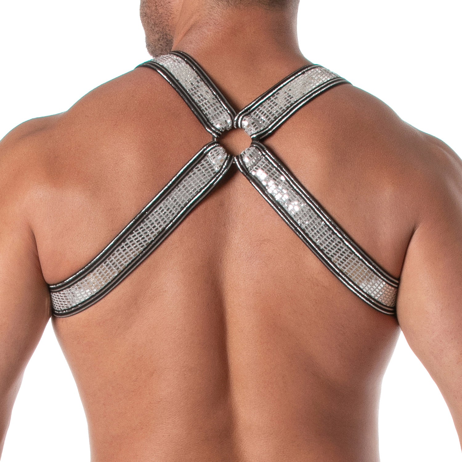 Glitter Bulldog Harness - Silver