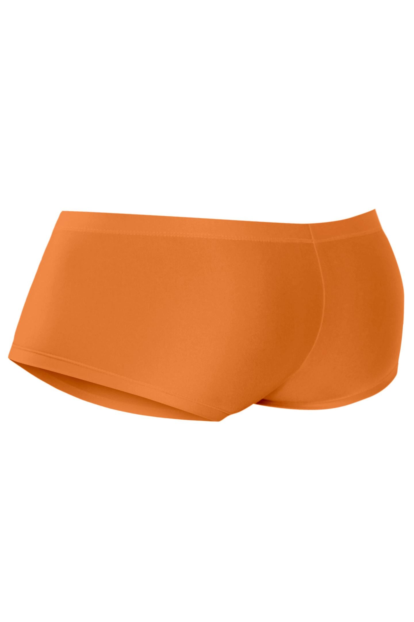 copper Hipster Brief C4MSPX13 - XL