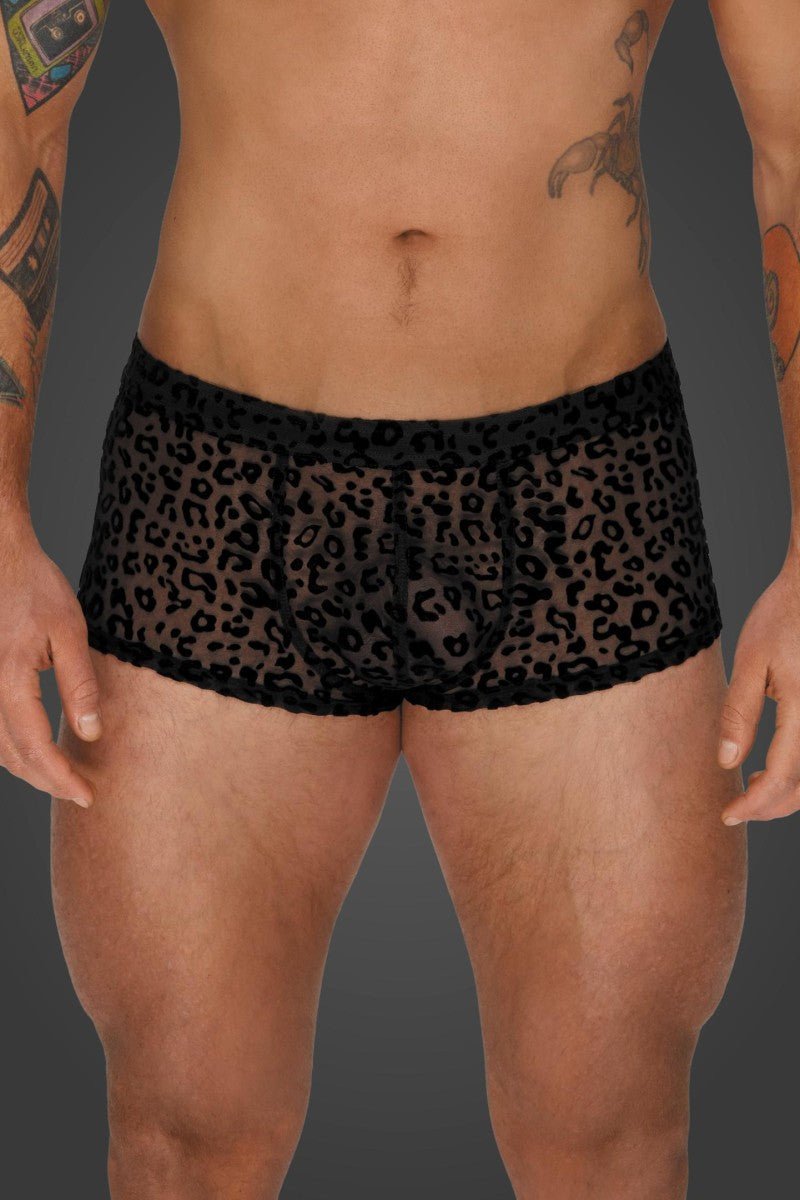 Leopard Flock Shorts H072 - 3XL - Noir Handmade Men - Shop Deutschland Noodosz