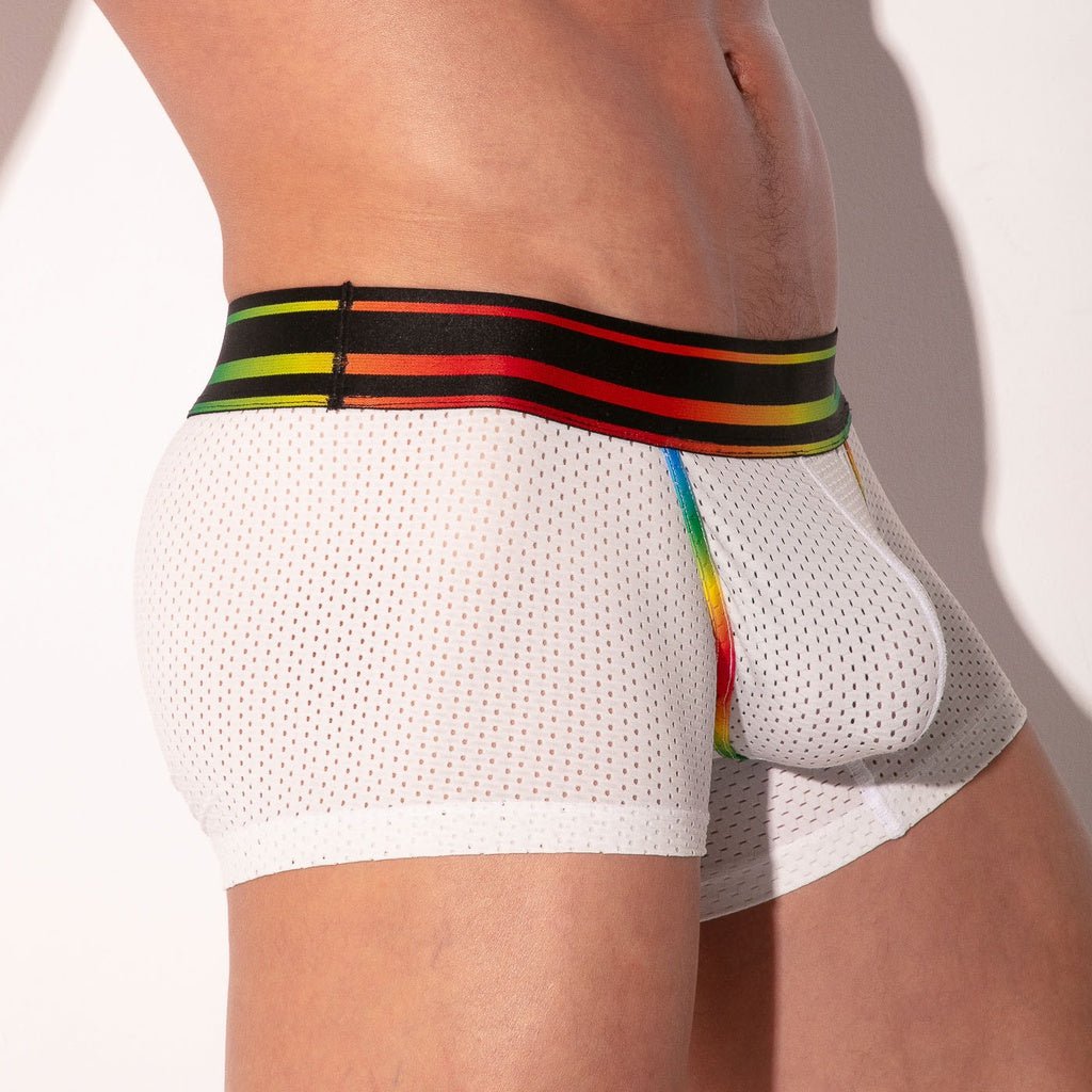 CODE 22 PRIDE MESH BOXER - 2232 Boxershorts - Code 22 - Shop Deutschland Noodosz