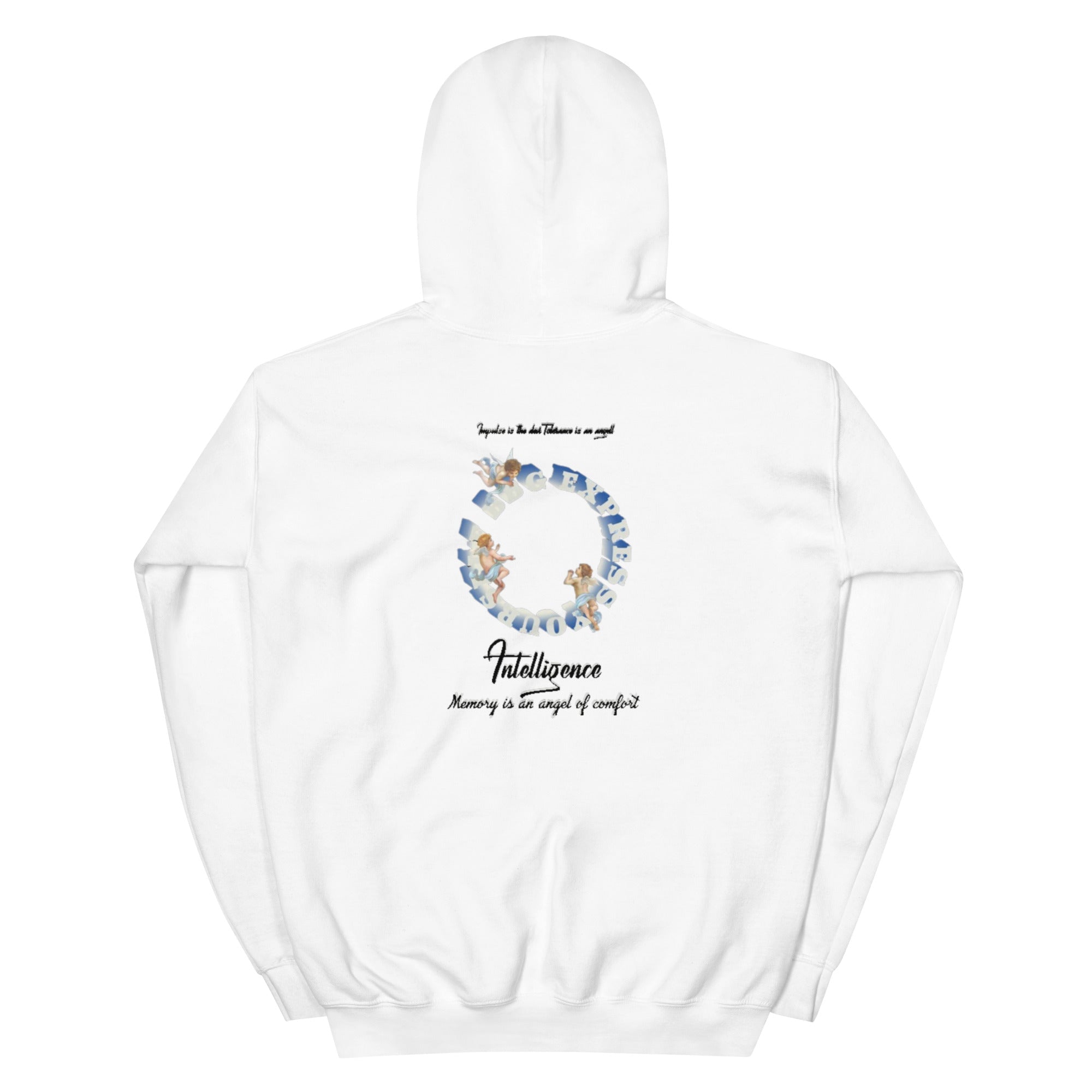 Fallen Angel Kapuzenpullover - NiZED - Shop Deutschland Noodosz