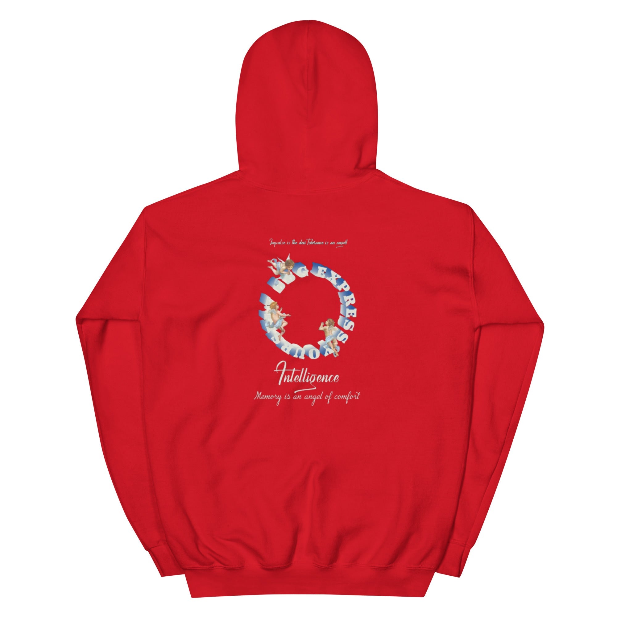 Fallen Angel Kapuzenpullover - NiZED - Shop Deutschland Noodosz